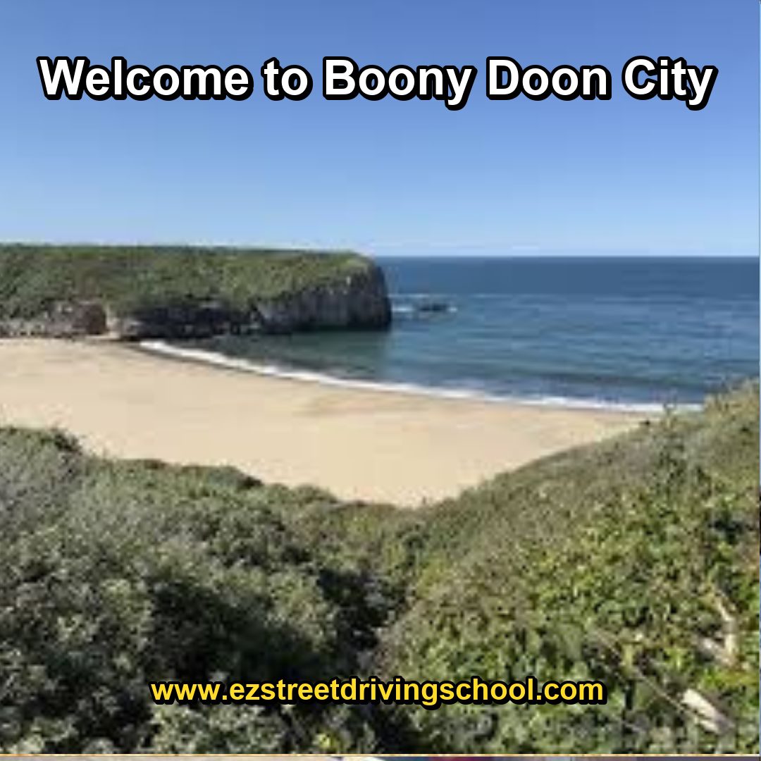 Driving Lessons in Boony Doon